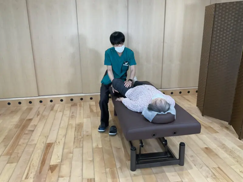 アドバンス vol.25～vol.29腰痛、膝痛、五十肩、脊柱管狭窄症、股関節痛 アドバンス vol.25～vol.29腰痛、膝痛、五十肩、脊柱管狭窄症