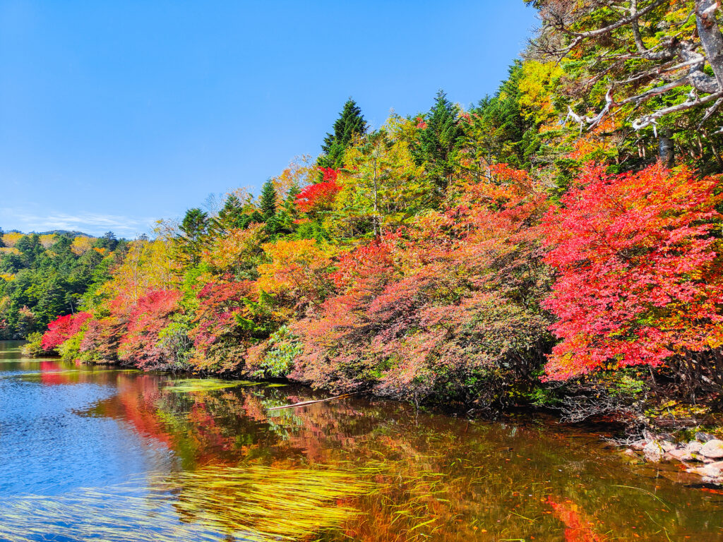 10月の休みについて